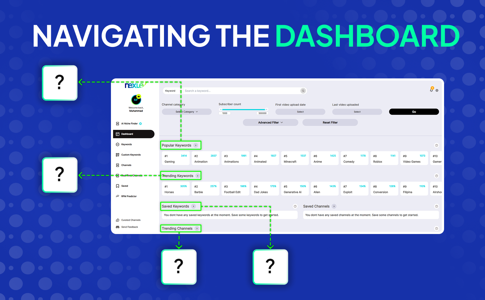 Navigating the Dashboard of NexLe Niche Finder