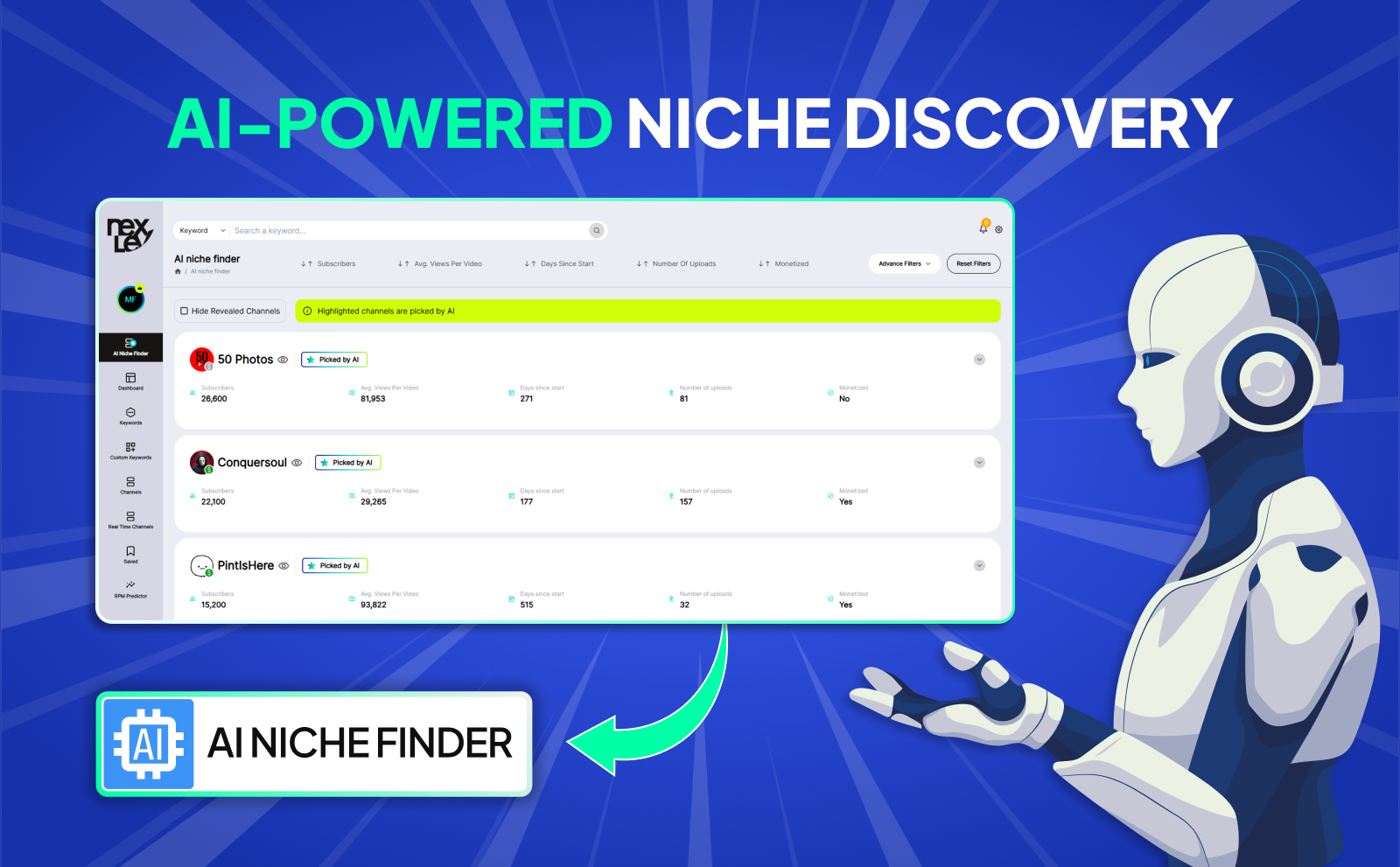 AI-powered Niche Discovery